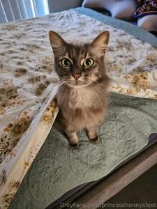 I really hate doing this but my poor angel misty is sick again she has part 3