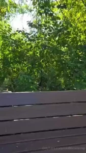 Join me for a stroll in the woods