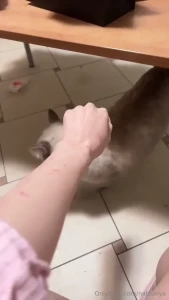Little monster part 1