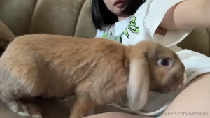 Today i want to show you my little bunny - he s just huge and