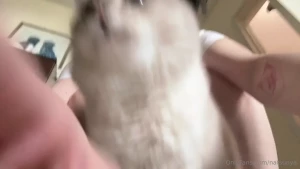 Wanted to show you my ms meow closer but she decided she had more