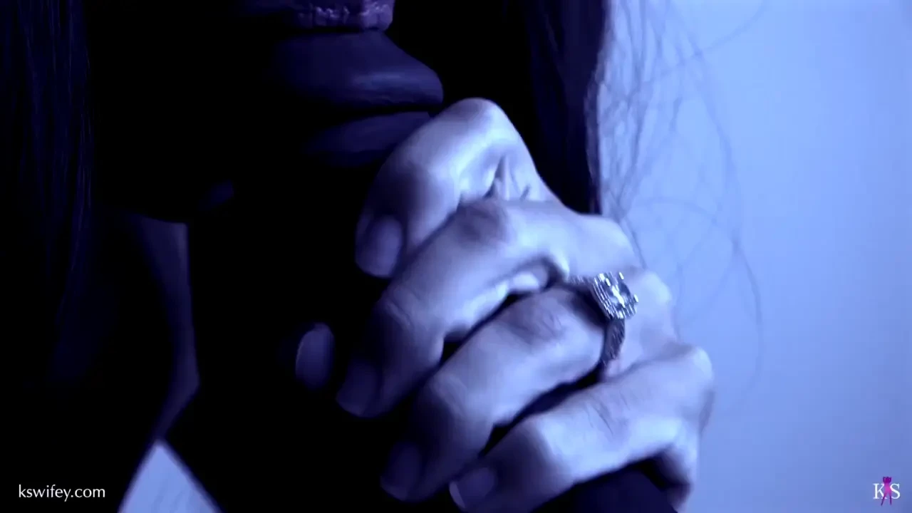 The housewife s secret pleasure ii 14 minutes the story of the 