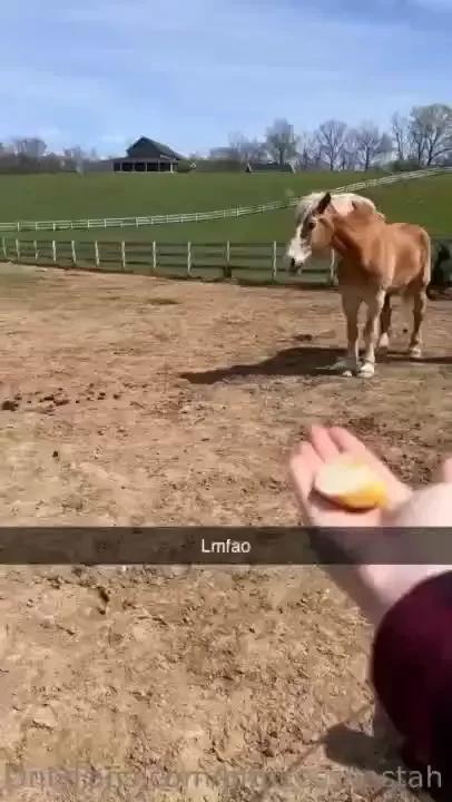 For those of you who enjoy following along on my adventures i m part 10 