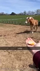 For those of you who enjoy following along on my adventures i m part 10