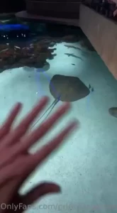 For those of you who enjoy following along on my adventures i m part 15