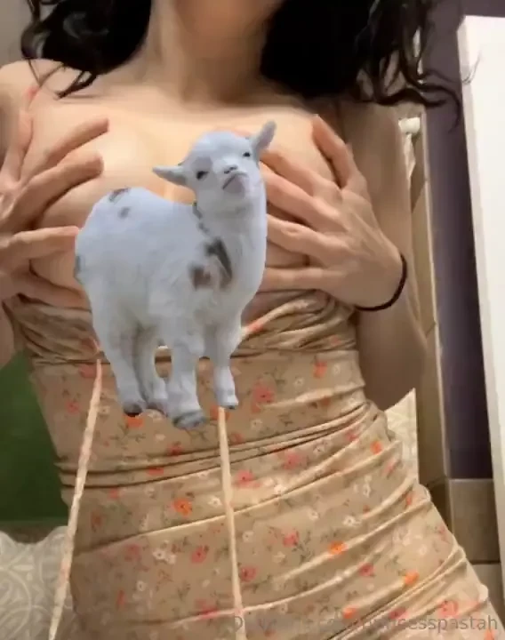 Oh no i can t miss another titty tuesday here i am trying on a couple part 1 