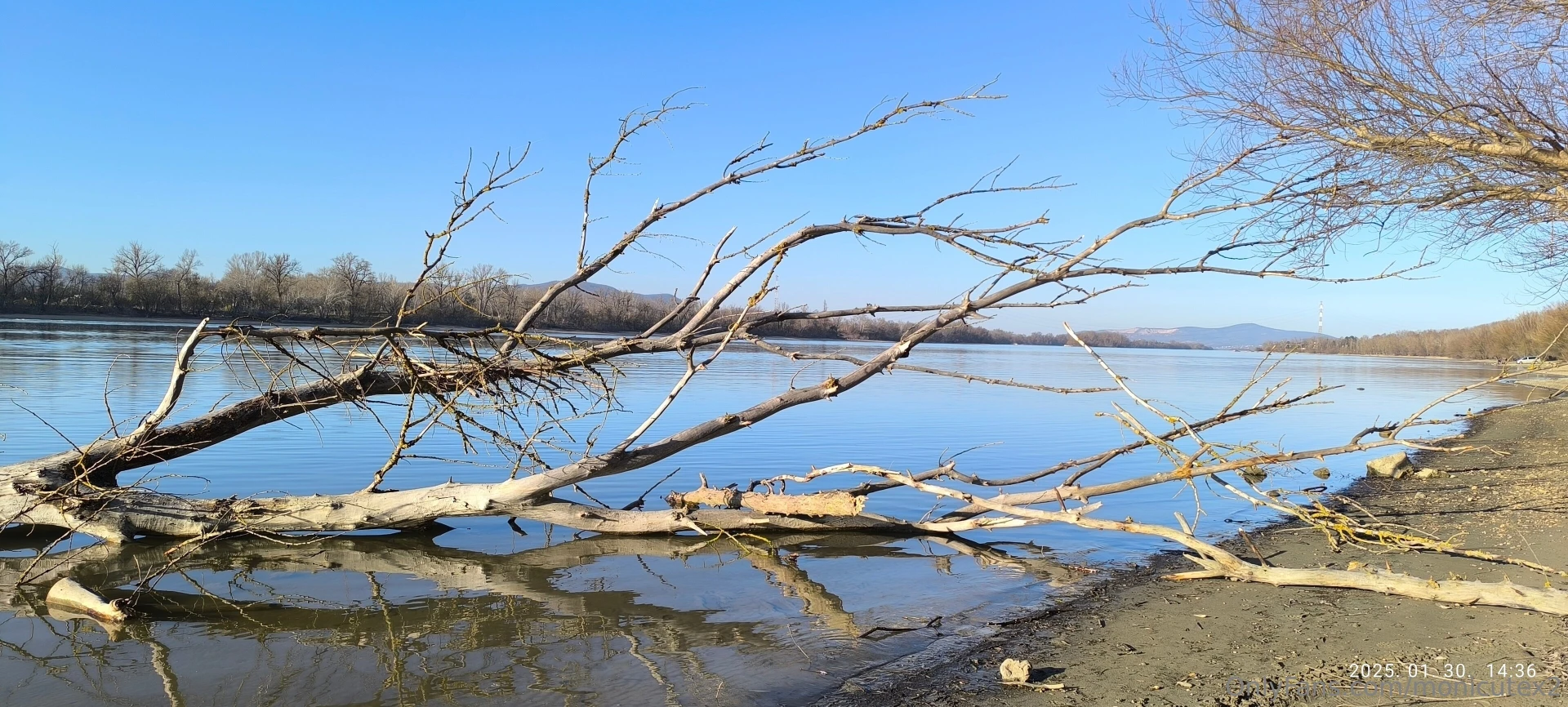 A beautiful january summer day in the middle of winter 