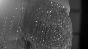 Penis 101 - all you need to know miss fox talks about aesthetics like