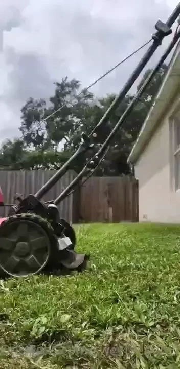 Teasing our new neighbors 