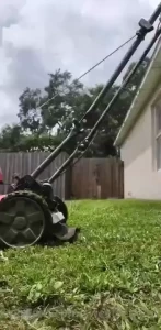 Teasing our new neighbors