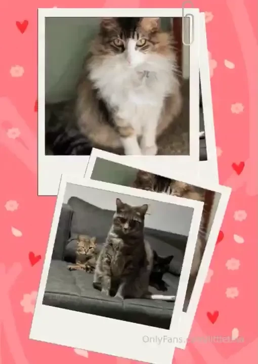 Siempre suelo mostrarte mi lado m s picante jaja pero esto es un peque 