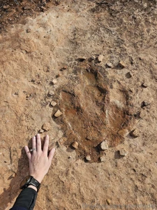 Morning beauty part 1