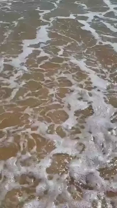 Good morning wishing i was back here who wants to take me 