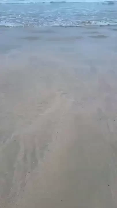 Who s joining me on the beach 