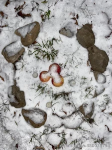 Whealty choices makes you becoming a responsable person im so happy part 3