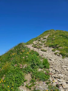 Came back from the hike but am whiped out so sending everything to part 1