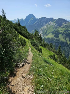 Came back from the hike but am whiped out so sending everything to part 3