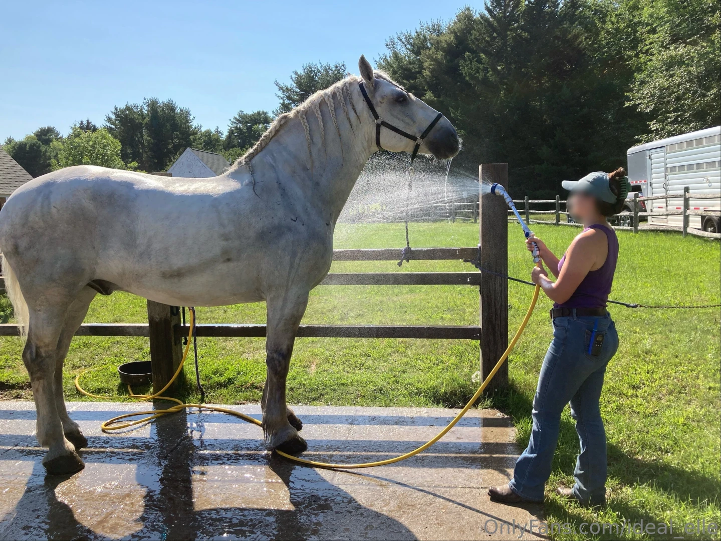 One of my favorite horses 