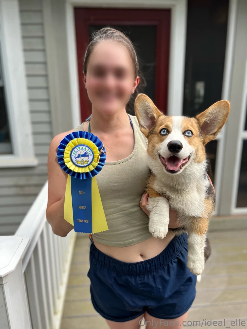 This little man is now a professional trick dog with multiple titles 