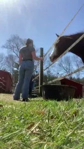 Some farm chores this afternoon