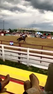 Spending the day at the rodeo