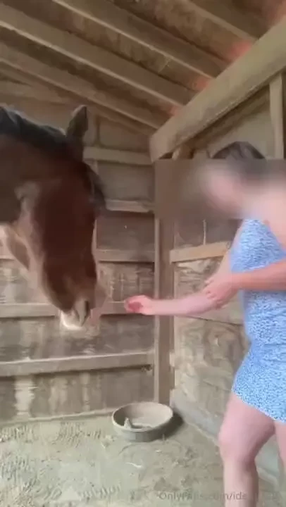 It s officially sundress season doing some barn chores and loving on 