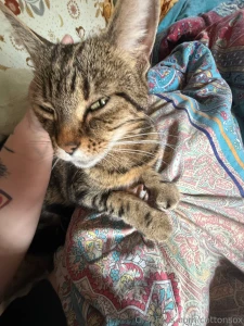 Sad post warning cat died loving someone or something is dangerous part 1