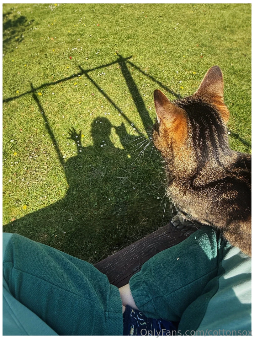 Sad post warning cat died loving someone or something is dangerous part 4 