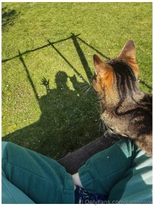 Sad post warning cat died loving someone or something is dangerous part 4