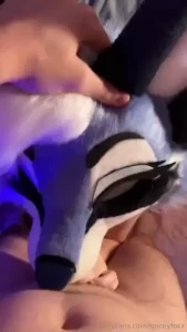 Throw this fox a bone and she might come back