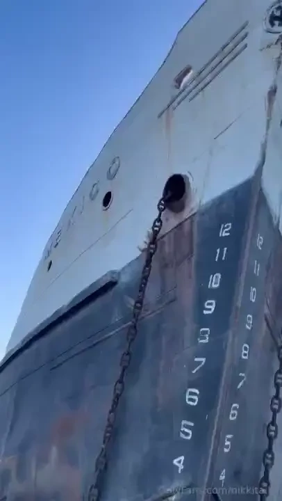 Do you enjoy morning workouts or active sports in general i for 