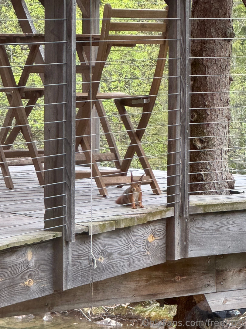 I went to norway a few days ago to spend some time here celebrating my 