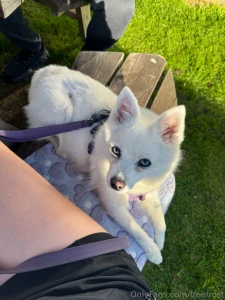 Here s a little photo dump from my trip to glen coe isle of skye here part 4