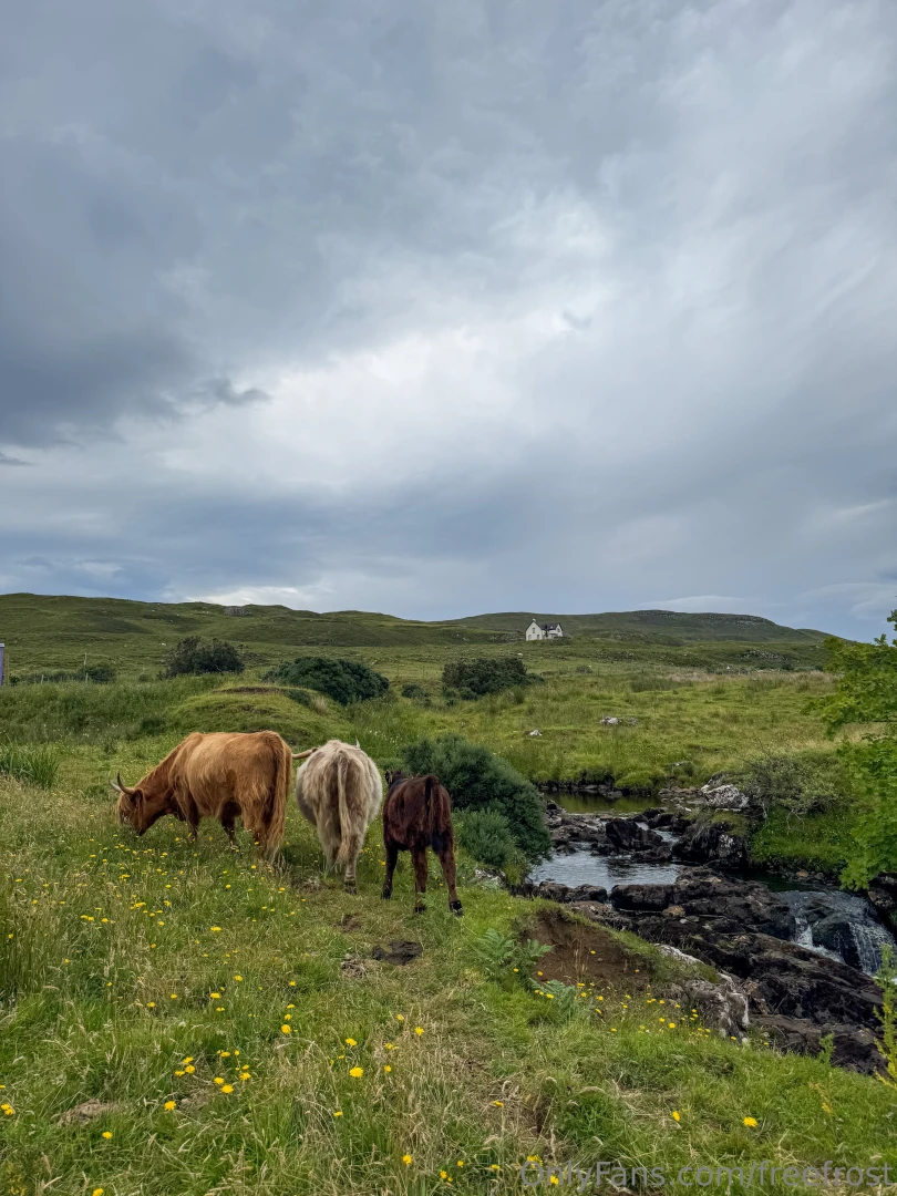 Here s a little photo dump from my trip to glen coe isle of skye here 