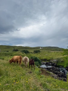 Here s a little photo dump from my trip to glen coe isle of skye here