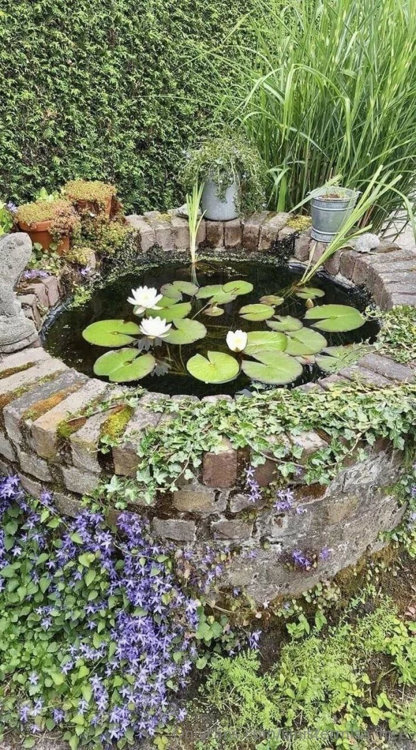 In an alternative universe i m a frog and that s my home 