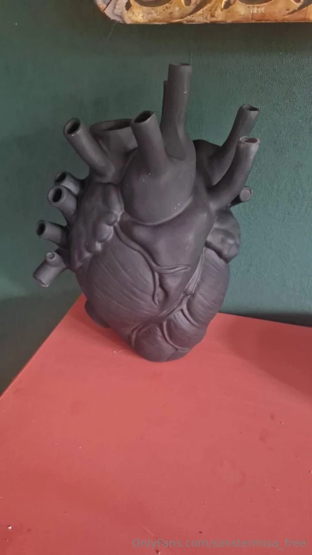 I bet my heart looks something like this 