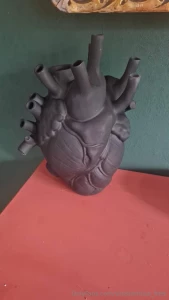 I bet my heart looks something like this