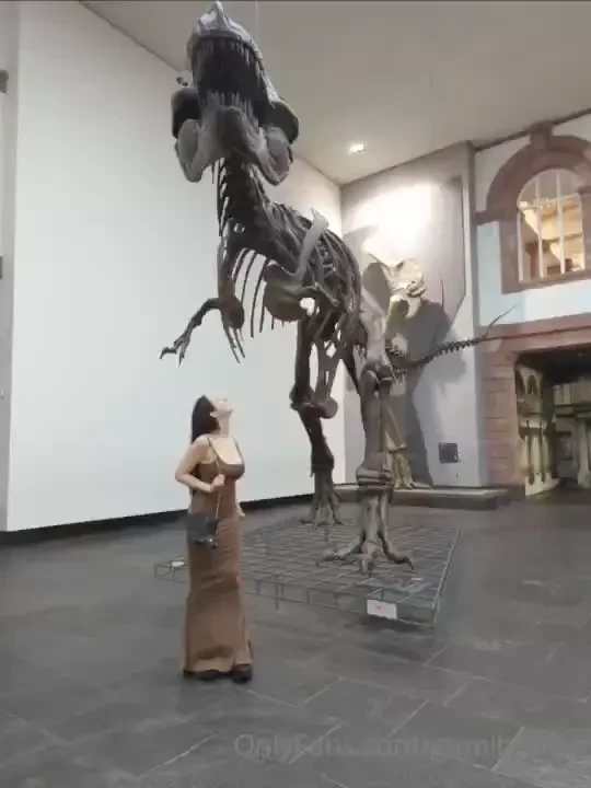 From my recent dino adventures i loved it there 3 swipe for a little 