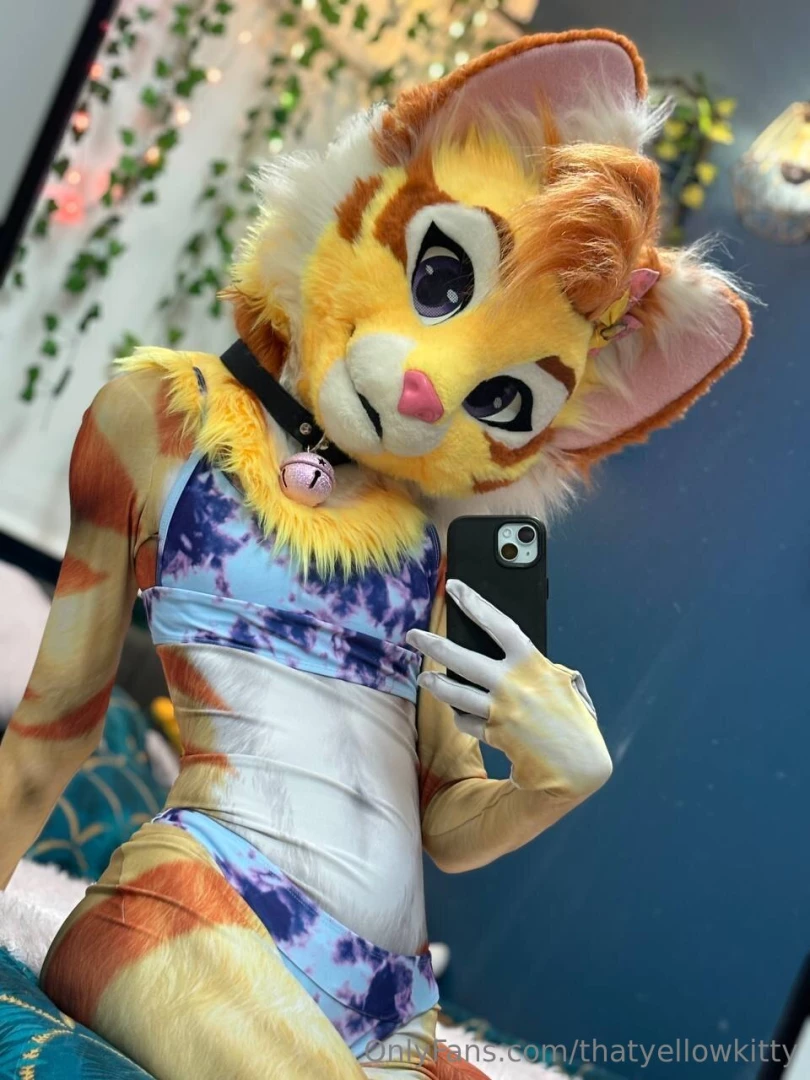 As requested i have a new amazon wish list since i know there are a 