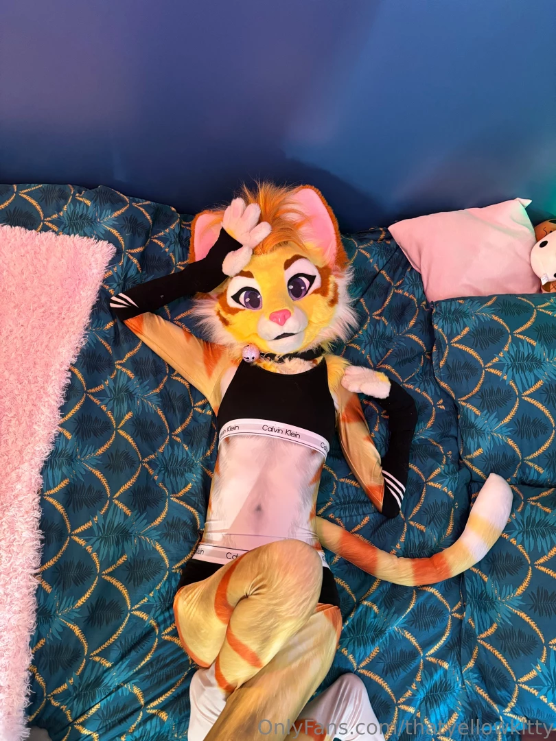 Pov your looking at your cute cat girlfriend what do you do one free 