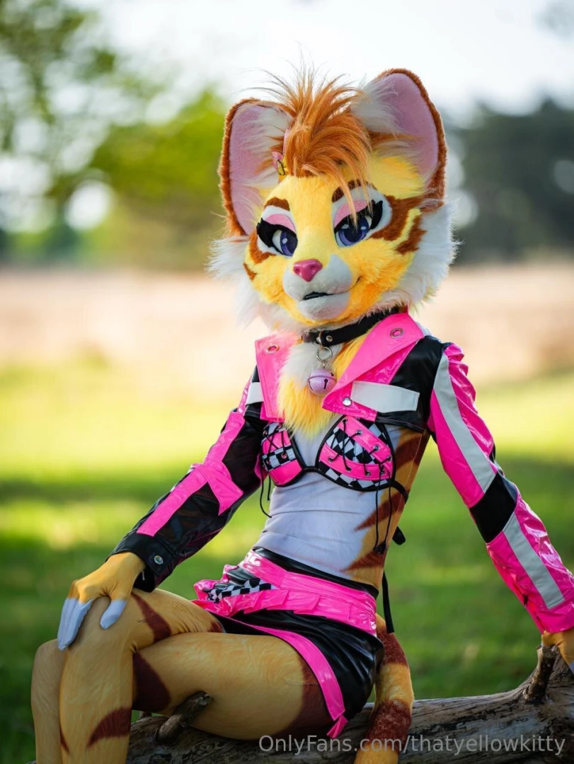 How s your summer looking photo by jekyllfox 