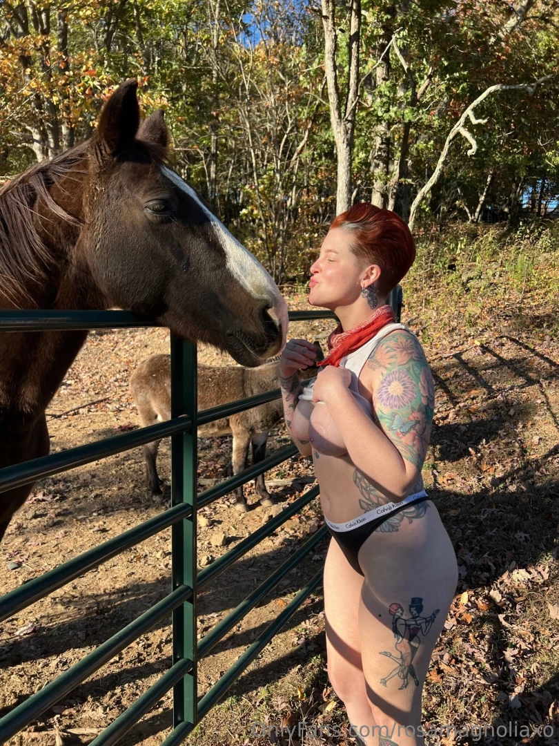 Now calm down mister ed 