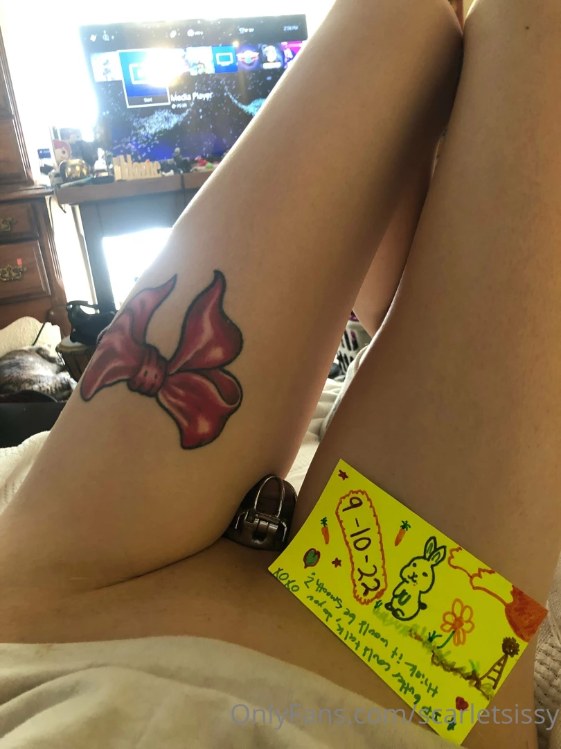 Checking in damn bunny ate all my carrots might do a lil something part 1 