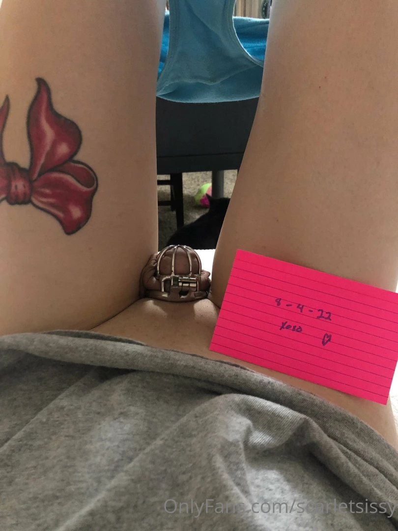 Checking in busy busy but will have 3 new vids out this weekend fri 