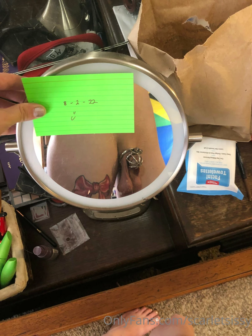 Checking in xoxo part 2 