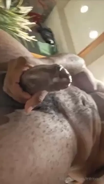 Subscribe to onlyfans com tritrion for the full tape i just came out 