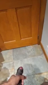 Fastest fan wins are you paying attention be the nbsp first nbsp to part 3