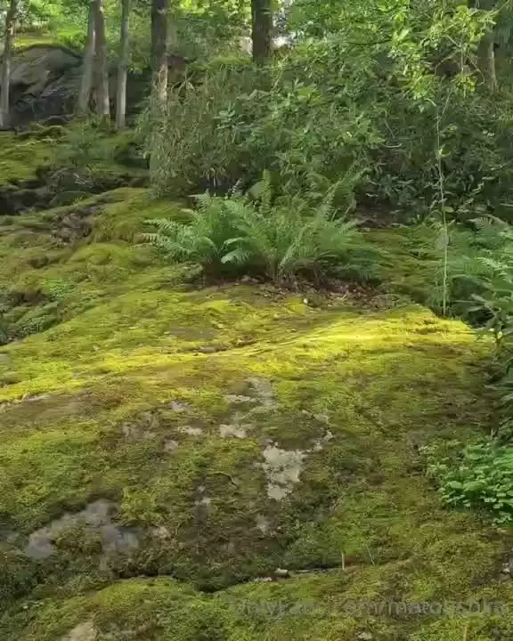 Derni re journ e en su de quelques photos que je trouve cool m me si part 8 
