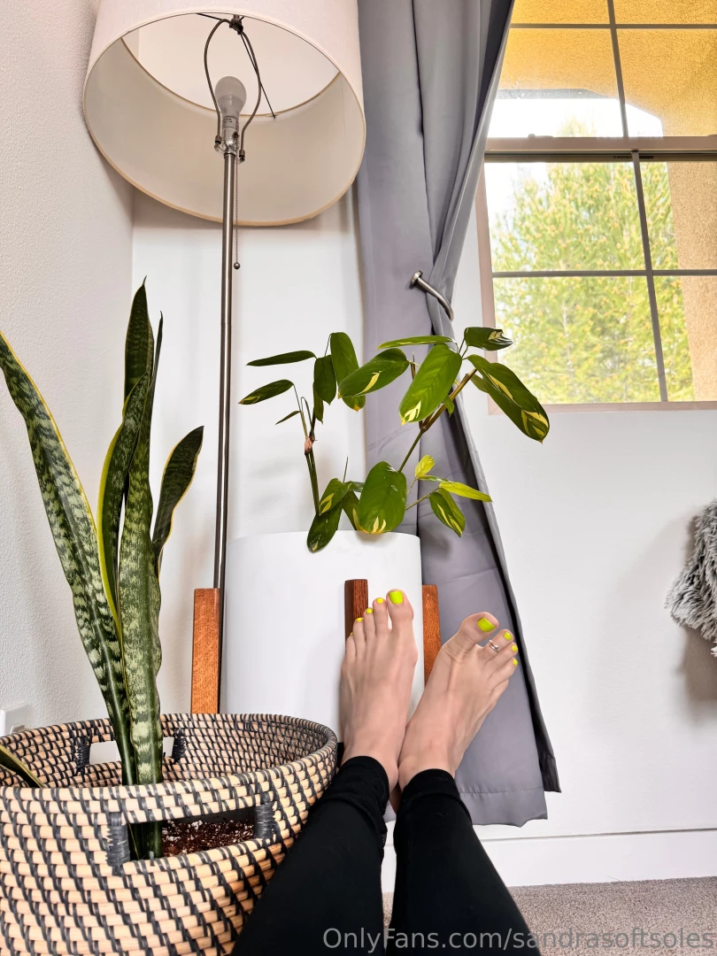 Take my poll which option would you pick if you could leave a comment 